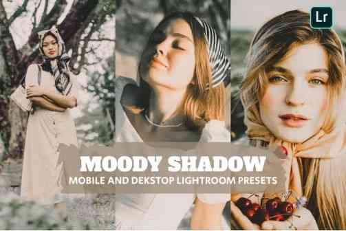 Moody Shadow Lightroom Presets Dekstop and Mobile