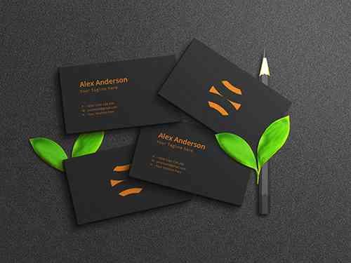 SD minimalist business card mockup on dark background with embossed and debossed effect