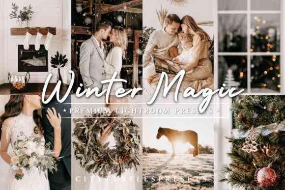 Natural Winter Magic LR Presets