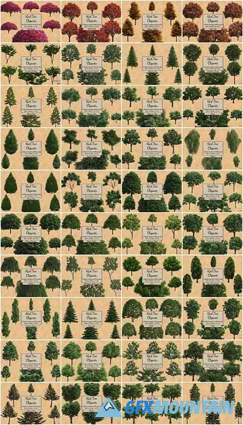 240 Real Tree Cliparts, Tree Overlays