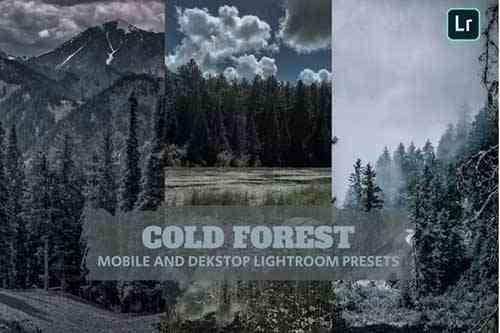 Cold Forests Lightroom Presets Dekstop and Mobile