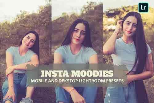 Insta Moodies Lightroom Presets Dekstop and Mobile