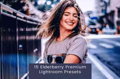 Elderberry Premium Lightroom Presets