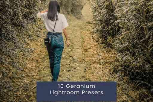 Geranium Lightroom Presets