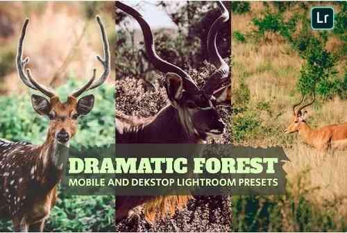 Dramatic Forest Lightroom Presets Dekstop Mobile