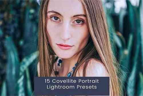 Covellite Portrait Lightroom Presets