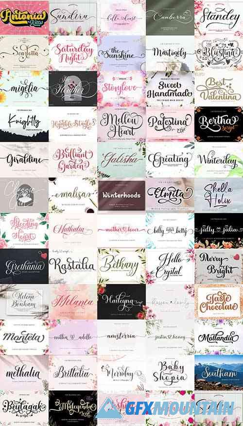The Special Collection Font Bundle