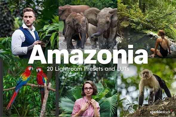 20 Amazonia Lightroom Presets LUTs