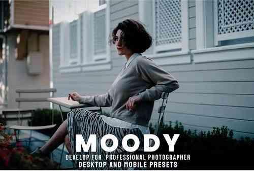 Moody - Desktop and Mobile Presets