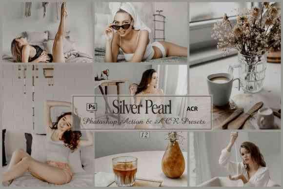 12 Silver Pearl Photoshop Actions And ACR Presets, Gray Tone