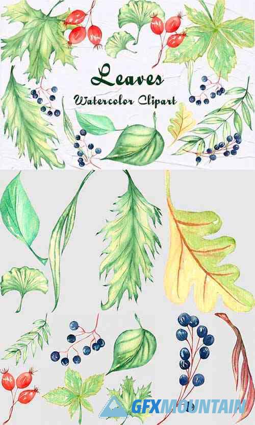 Green Leaves Watercolor Clipart