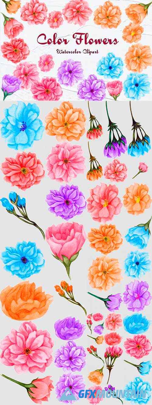 Sakura Flowers Watercolor Clipart