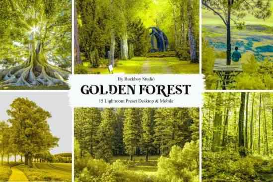 15 Golden Forest Lightroom Presets