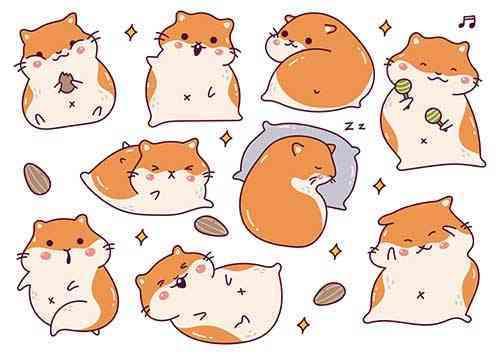 Cartoon Cute Hamster