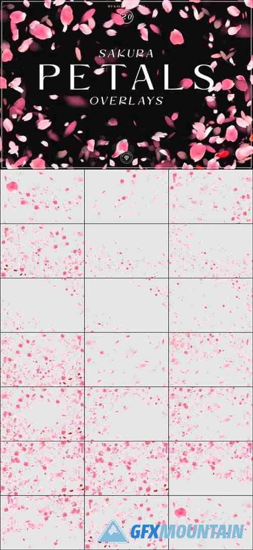 Sakura Petals Overlays