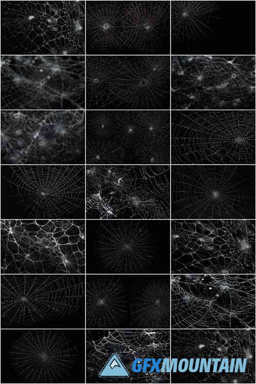 Spider Cobweb Overlays