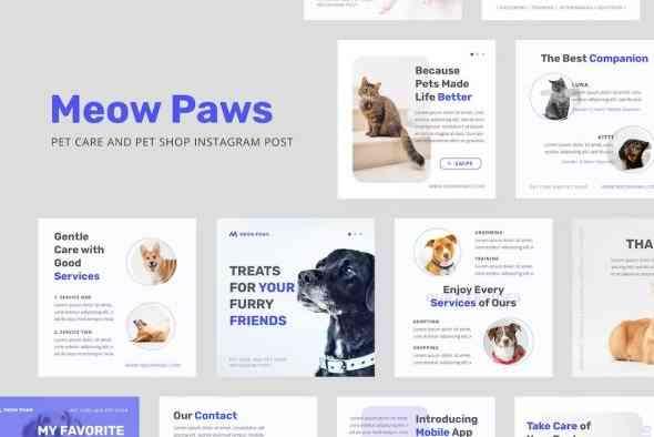 Meow Paws: Pet Care & Pet Shop Instagram Post