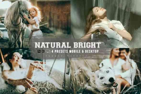 Natural Bright Air Lightroom Presets Mobile And Desktop