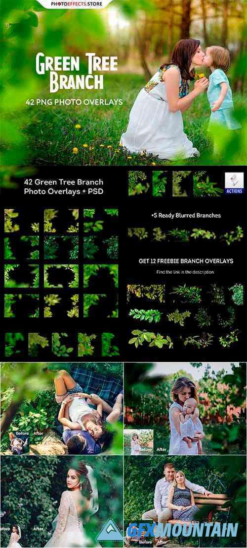 Green Tree Branch Photo Overlays