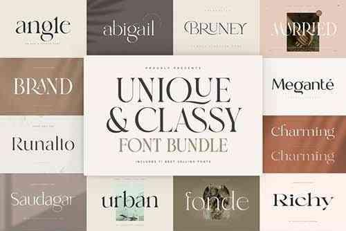 Unique and Classy Modern Font Bundle