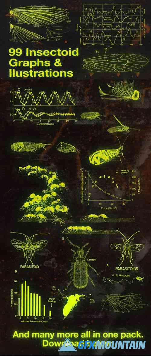 99 Insectoid Graphs & Illustrations