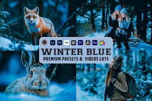 Winter Blue Luts Video And Presets Mobile Desktop
