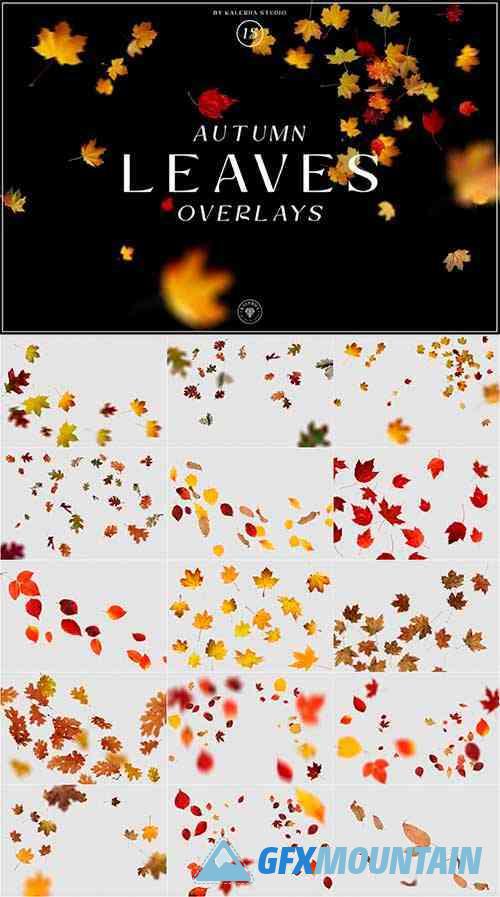 Autumn Leaves Overlays