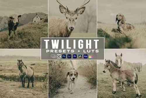 Twilight Lightroom Presets luts Video Premiere Pro