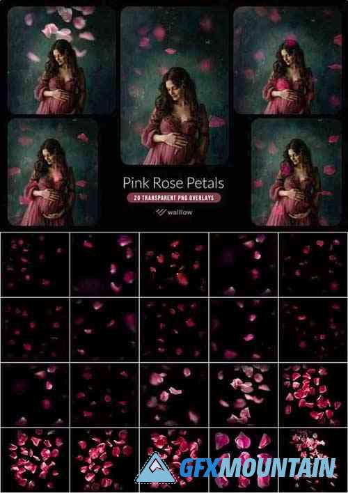 Pink rose flower petals transparent PNG overlays