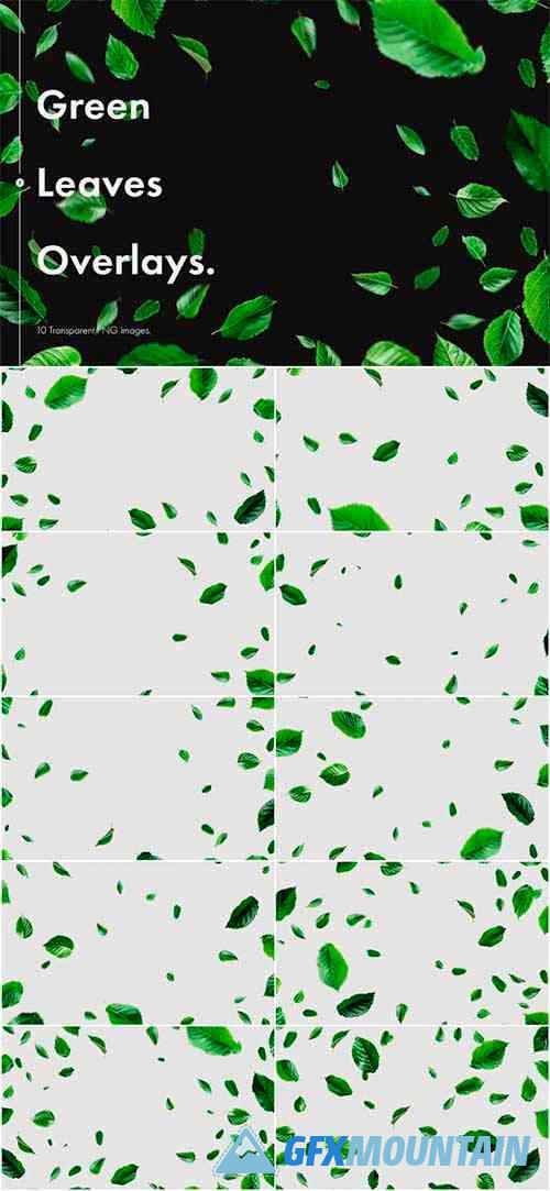 Green Leaves Overlays
