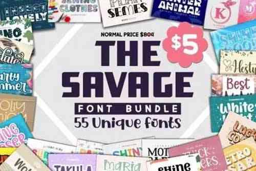 Savage Font Bundle