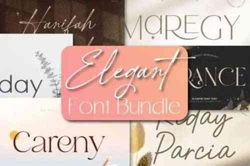 Elegant Font Bundle