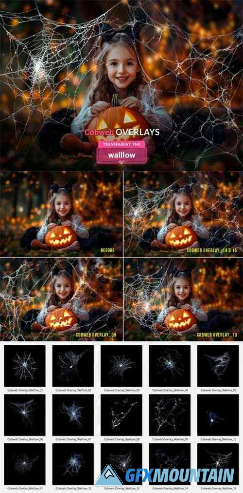 Cobweb PNG Overlay Halloween Clipart