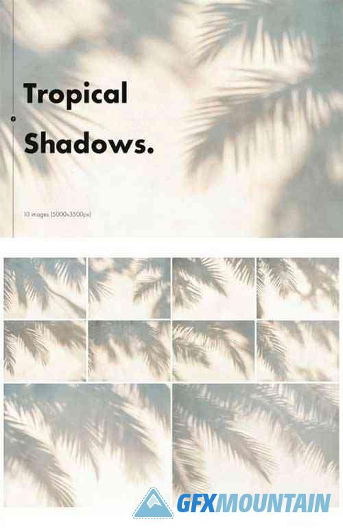 Tropical Shadows Backgrounds