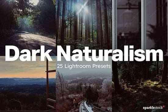 Dark Naturalism Lightroom Presets