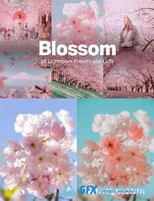 Blossom Lightroom Presets and LUT