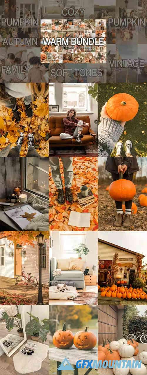 Warm Mobile & Desktop Lightroom Presets Bundle