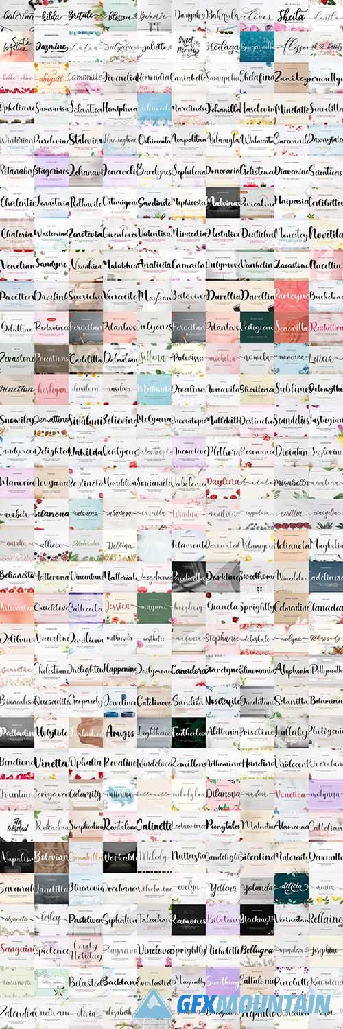 Mega Script Font Bundle