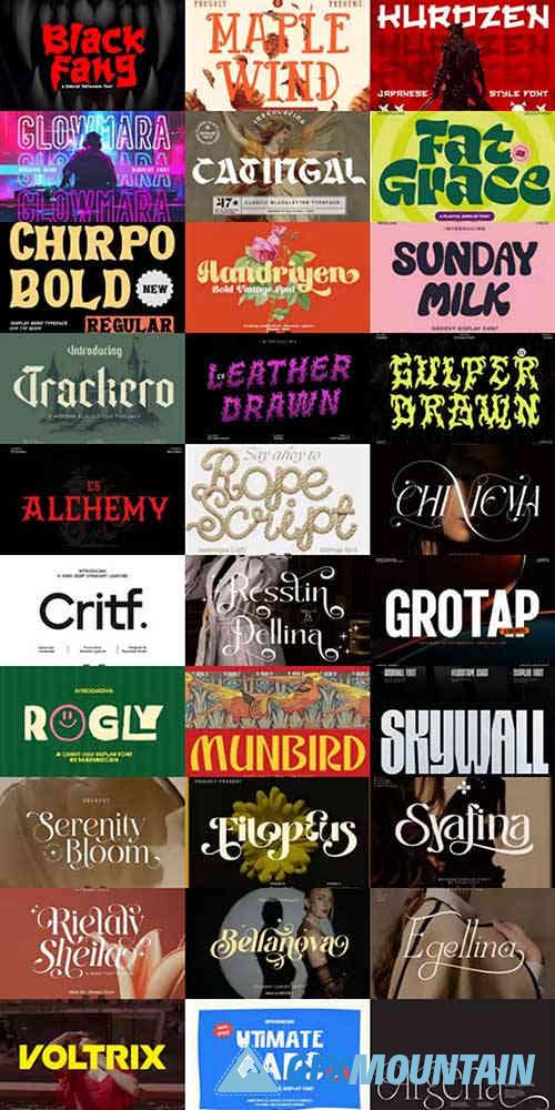 Special Fonts Bundle